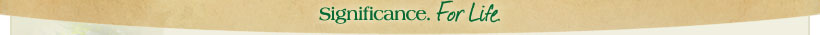 Significance. For Life.